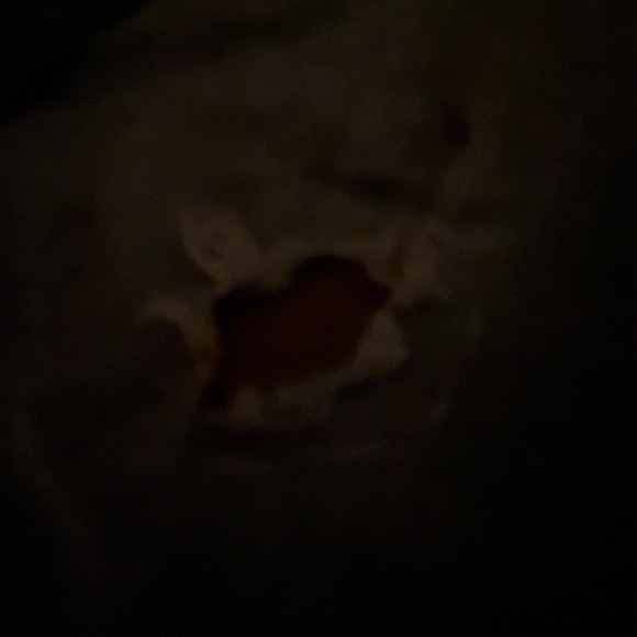 Gap 1969 jeans - Picture 3 of 5